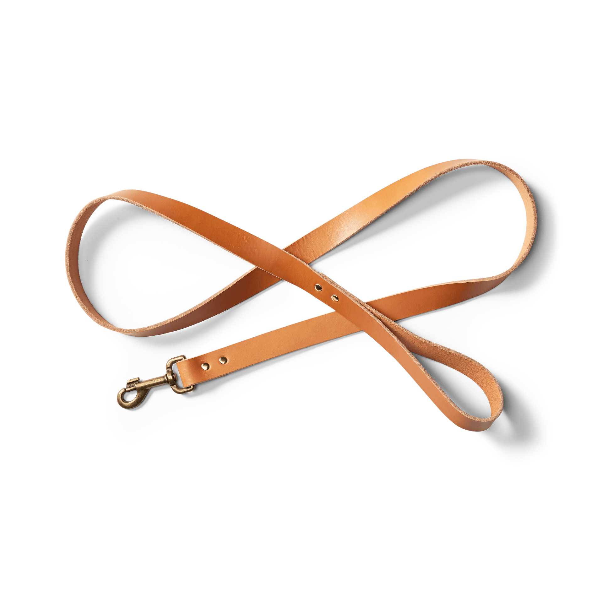 Bridle Leather Dog Leash