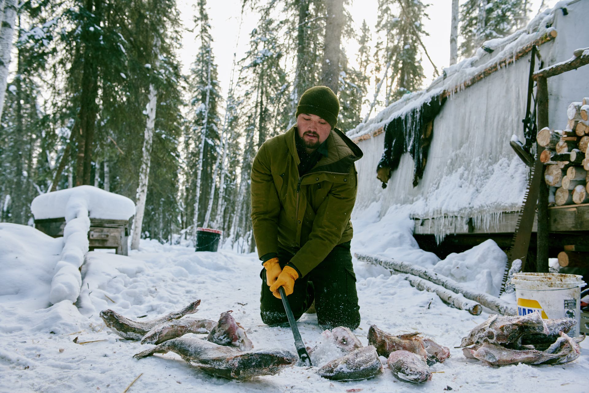 Man cutting frozen fish on the ground wearing a Filson Insulated Shelter Cloth Parka